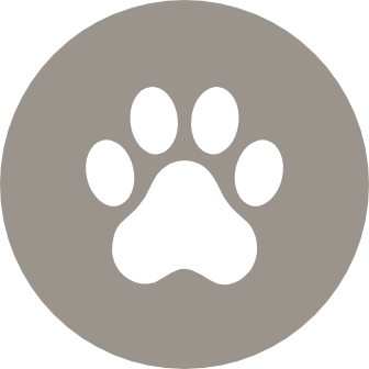 Let Fido&rsquo;s energy out at the pet park
